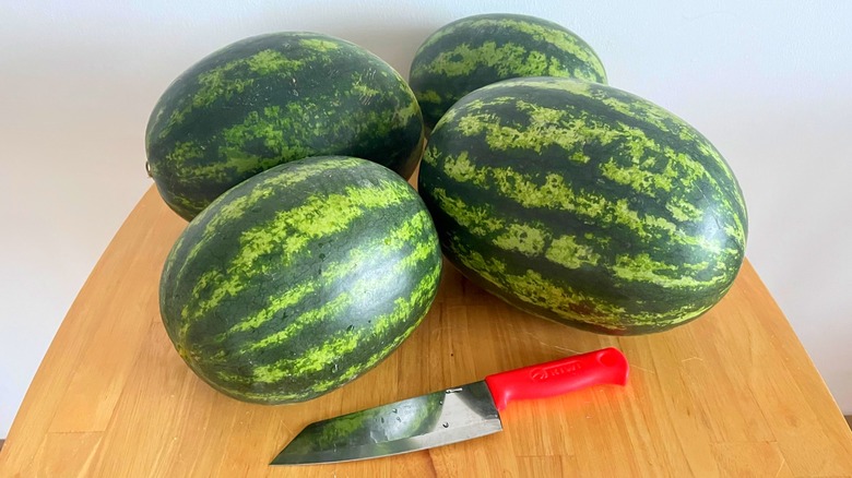 Four watermelons and knife on wooden table