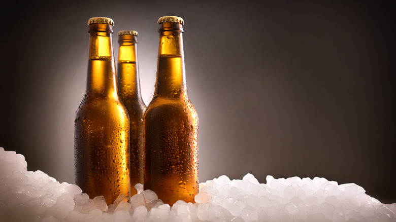 Three bottles of beer on ice