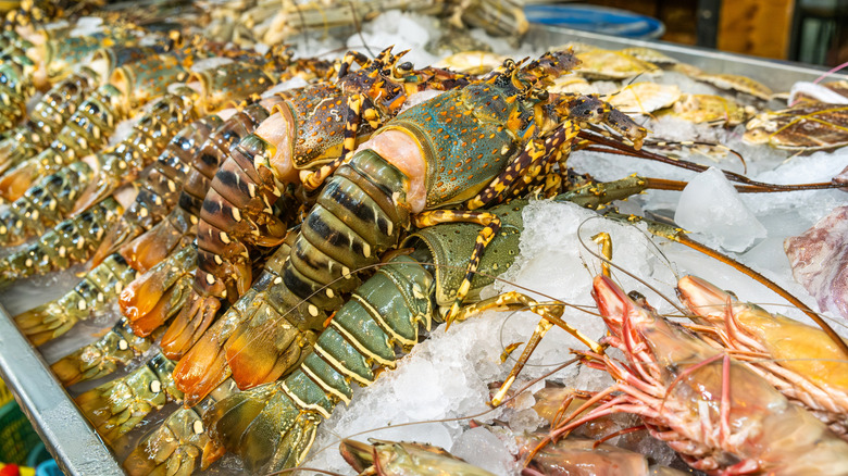 Fresh lobsters on ice at grocery store
