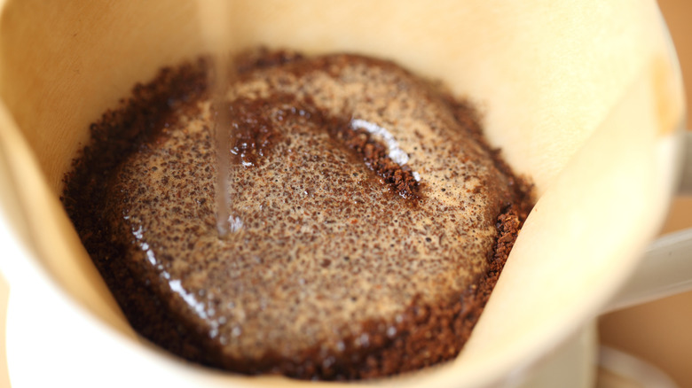 Closeup of water pouring over coffee grounds in paper filter