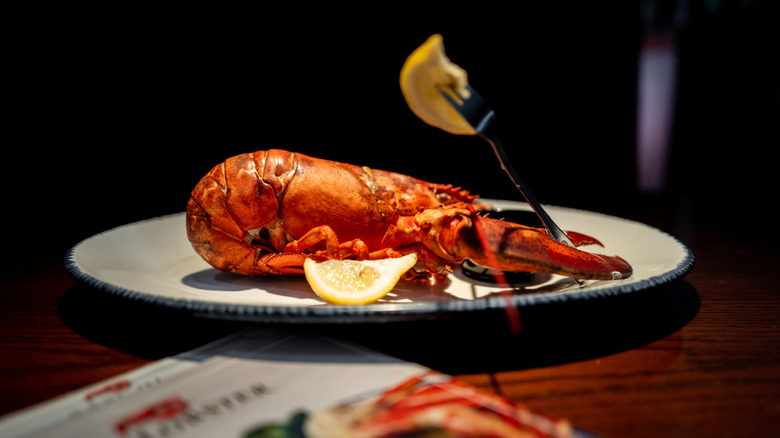 A lobster on a plate at a Red Lobster location.