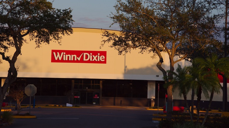 A Winn-Dixie location behind trees at dusk.