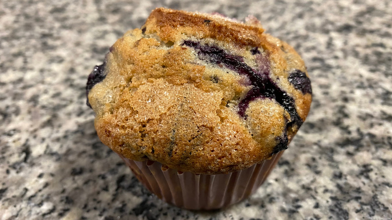 Blueberry muffin on countertop