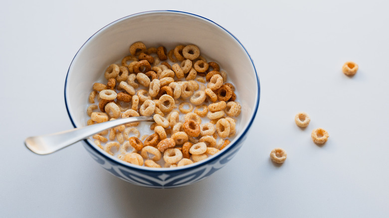 Cheerios in a bowl of milk with spoon