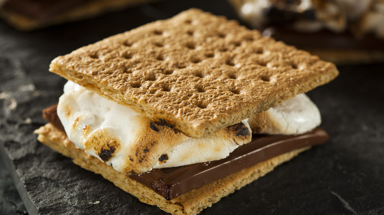 Two graham crackers with chocolate and toasted marshmallow between them
