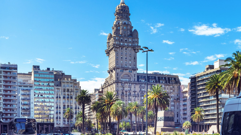 View In Montevideo, Uruguay, of buildings, streets, and palm trees, including an ornate tower