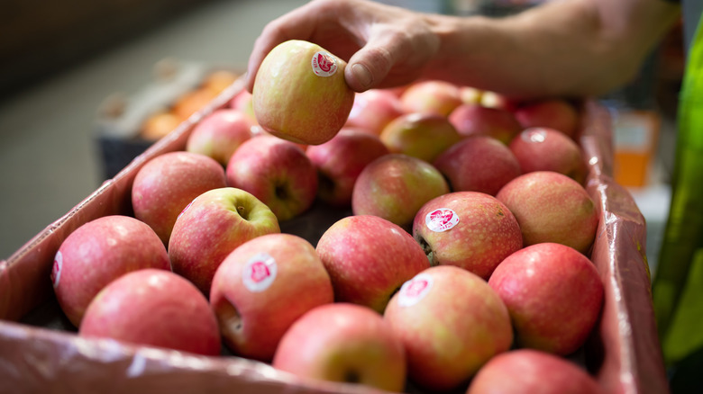 A hand holding an apple above a tray of apples