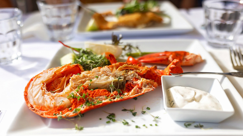 Lobster dinner with dipping sauce and claws on a plate