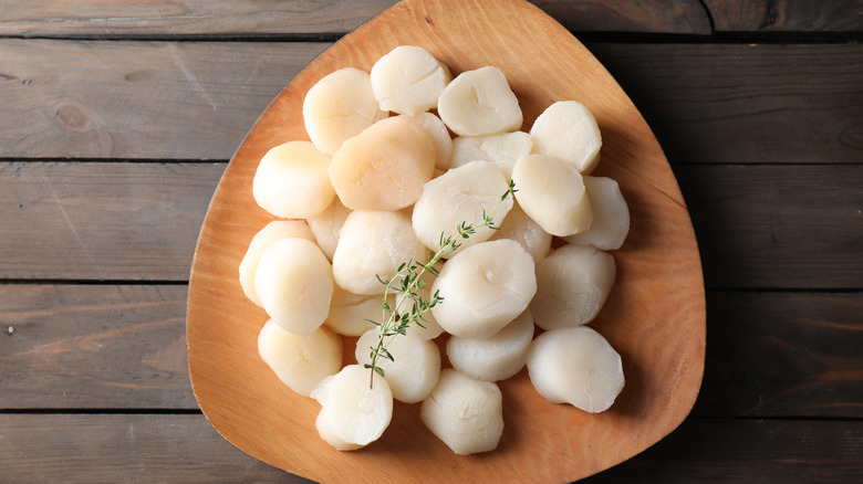 Raw scallops on wooden plate