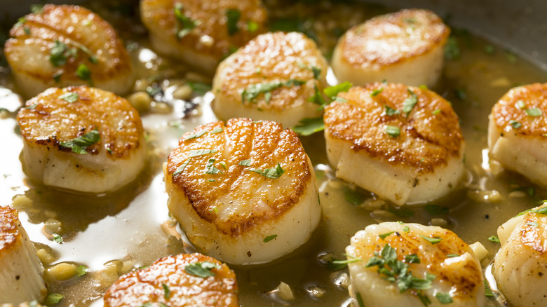 seared scallops in pan
