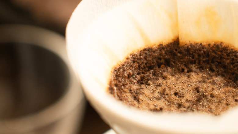 coffee grounds blooming in paper filter