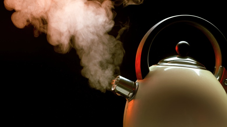 steam coming from boiling kettle