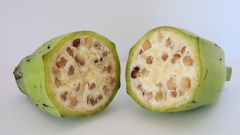 A cross section of a wild banana, the kind that may have been found thousands of years ago