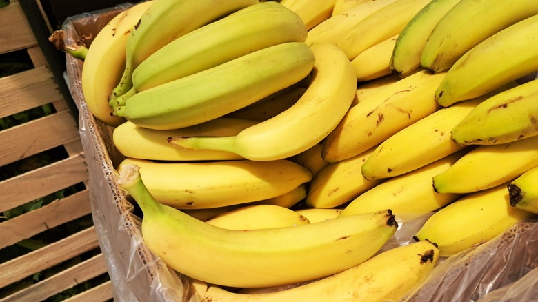 A box containing bright yellow bananas