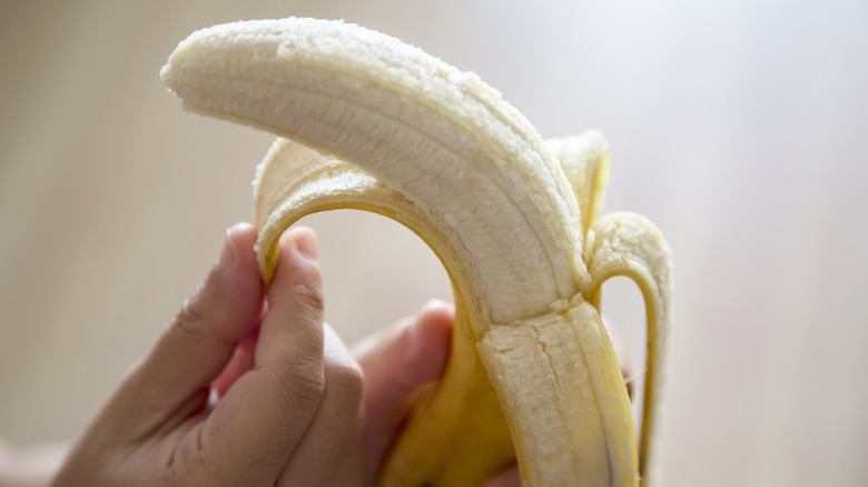 A person peels a ripe banana