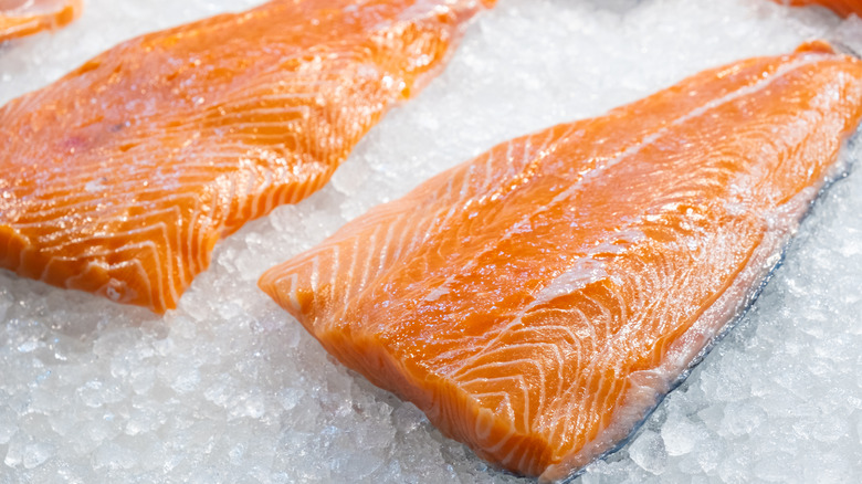 Two fresh raw salmon fillets on ice