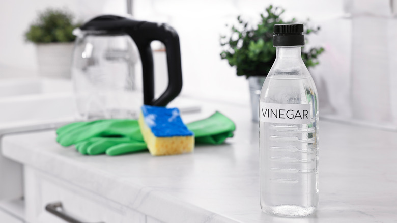 Vinegar on kitchen counter near cleaning gloves and sponge