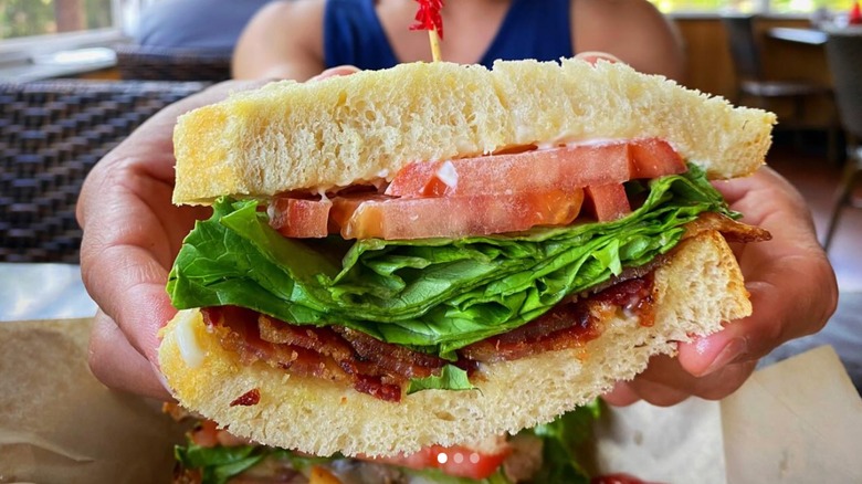 Hands holding the Kalaheo Cafe & Coffee Co. BLT