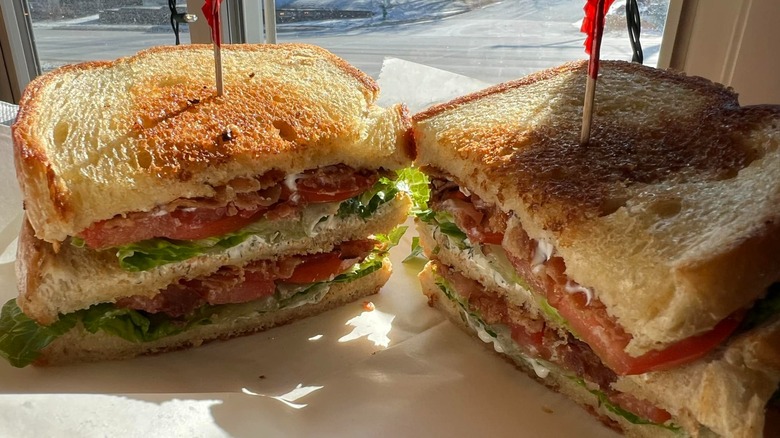 Salsa Guy Cafe The Conquistador Triple Decker BLT on paper