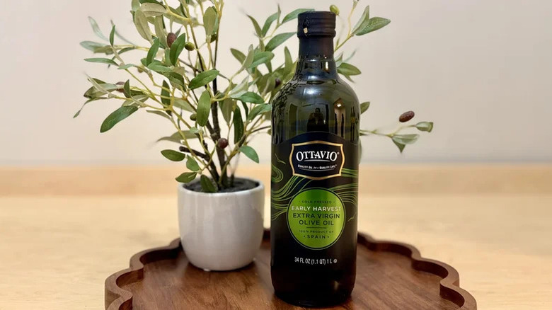 Bottle of Ottavio Early Harvest Extra Virgin Olive Oil on a wooden serving board next to a small plant