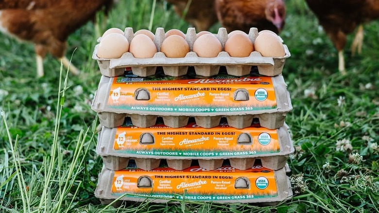 Cartons of eggs stacked on grass with chickens in the background
