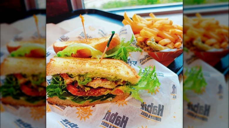 A chicken club sandwich and fries inside a Habit Burger & Grill.