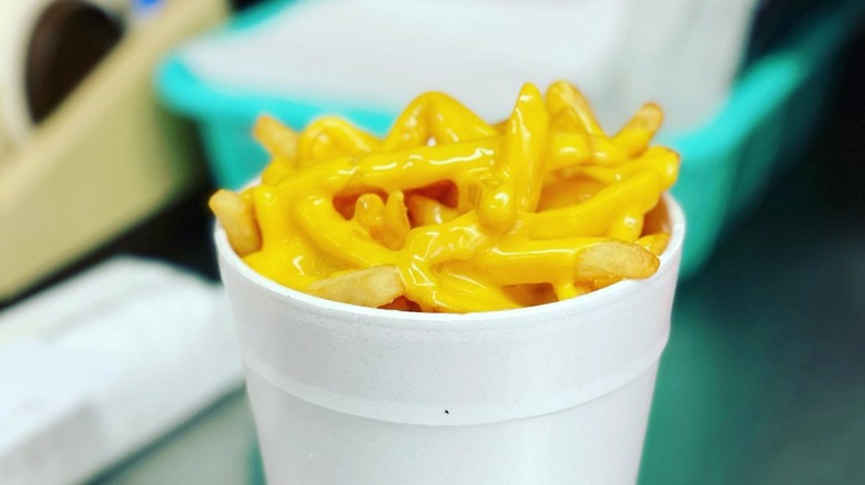 Cup of cheese fries from Ishkabibble's Eatery