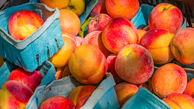 Fresh peaches arranged with some cardboard holders