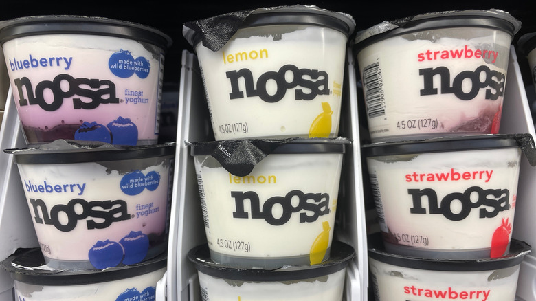 Blueberry, lemon, and strawberry-flavored Noosa yogurts
