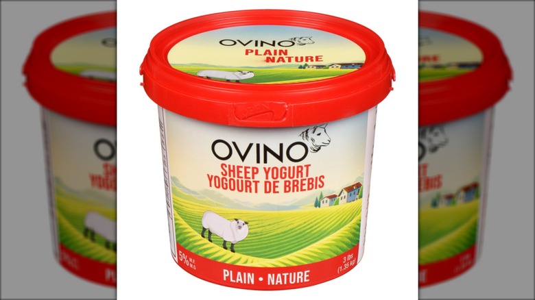 OVINO plain sheep milk yogurt