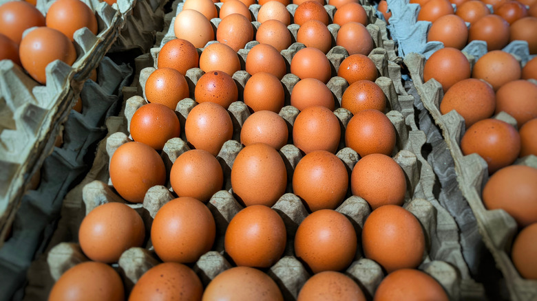 brown eggs lined up in cartons