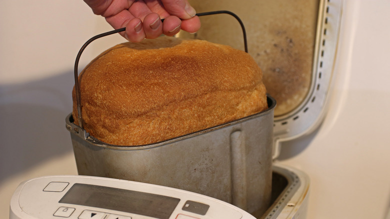 A person removes a loaf of bread from a bread maker