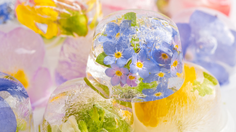 pastel flowers in ice