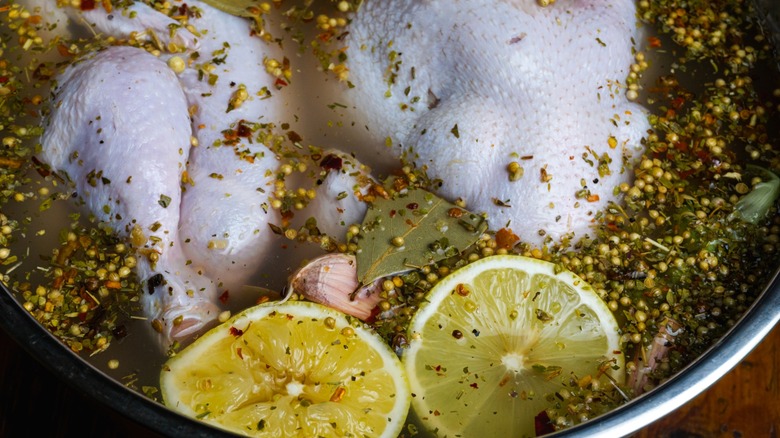 Chicken soaking in brine with lemon slices and seasonings