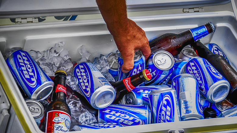 A hand reaching into a cooler full of Bud Light cans and Budweiser bottles