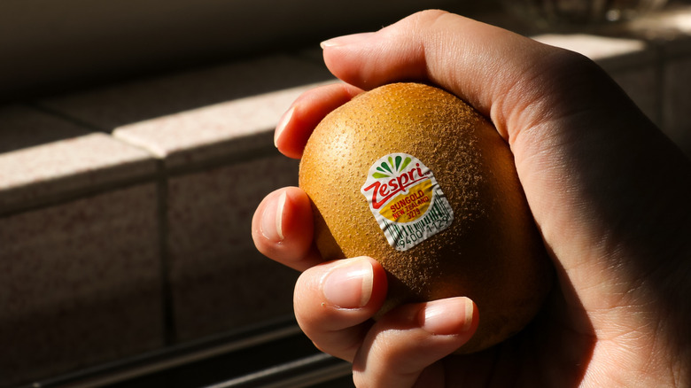 Hand gripping kiwi with fruit sticker on it