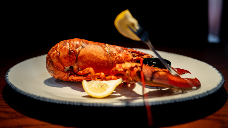 red lobster on plate