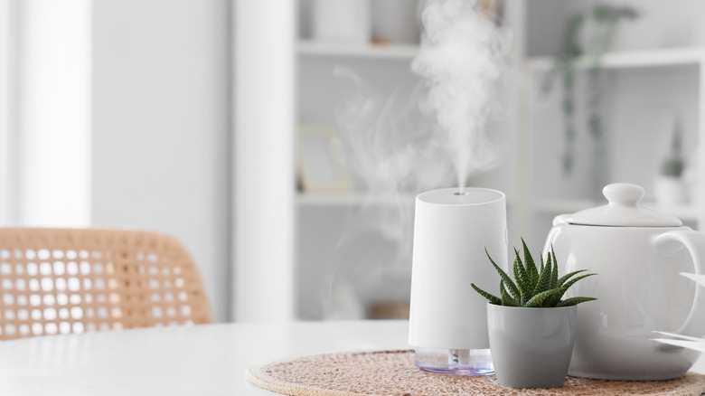 humidifier on table with plant and teapot