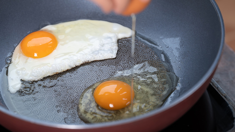 Cloudy and clear egg whites
