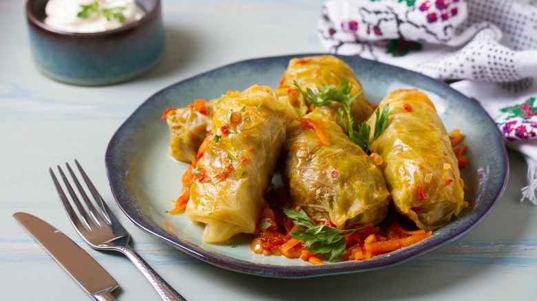 Cabbage rolls on a plate which can be frozen