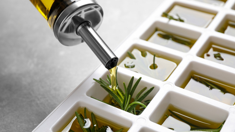 Pouring olive oil ice cube tray with fresh rosemary