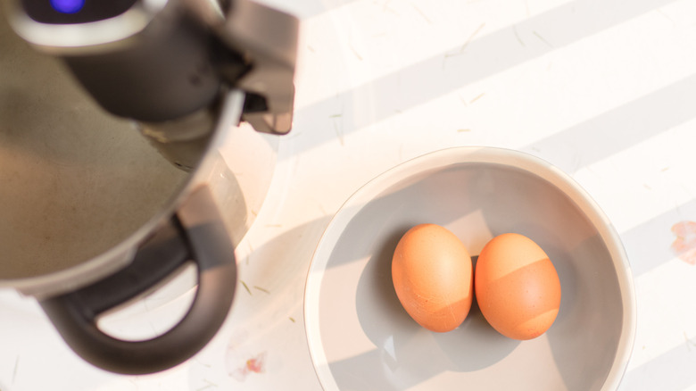 Two eggs sit in a bowl near an immersion circulation machine