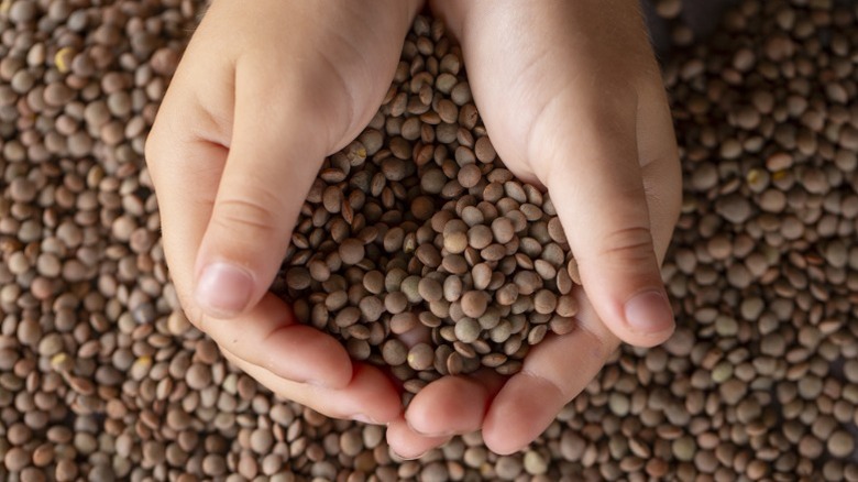 Hands holding lentils.