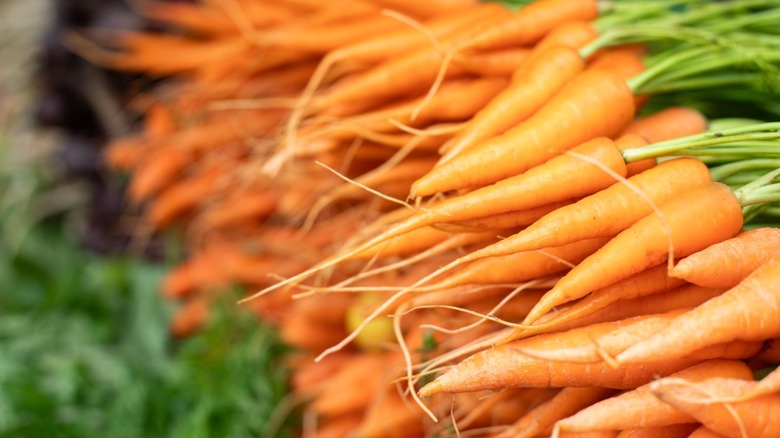 Bunches of carrots stacked on top of one another