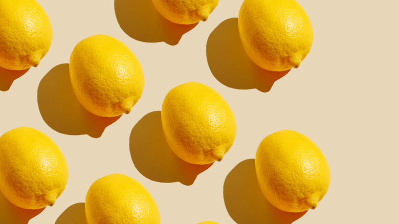 rows of lemons on aesthetic background