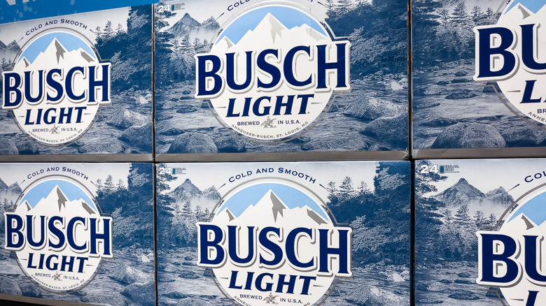 Busch Light 24-count boxes