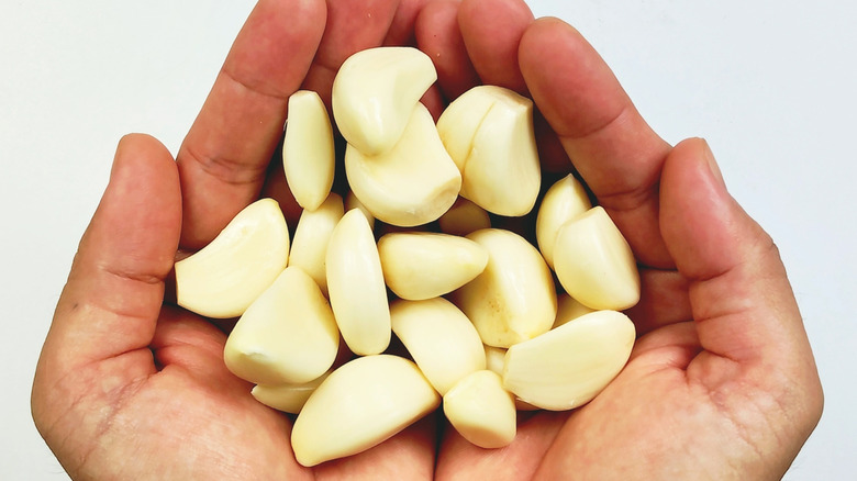 hands holding peeled cloves of garlic