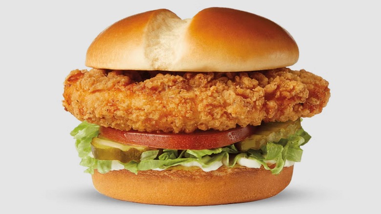 Culver's fried chicken sandwich with mayo, shredded lettuce, pickles, and sliced tomato on gray background
