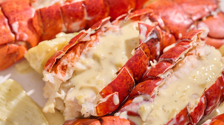 lobster tail coated in cream sauce