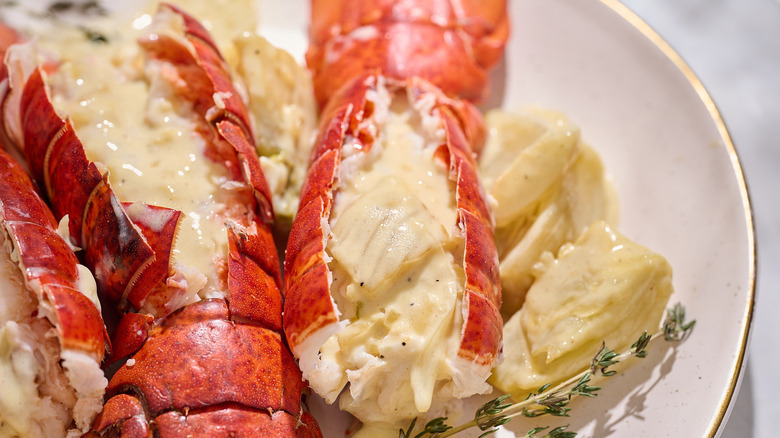 lobster tail on platter coated in cream sauce
